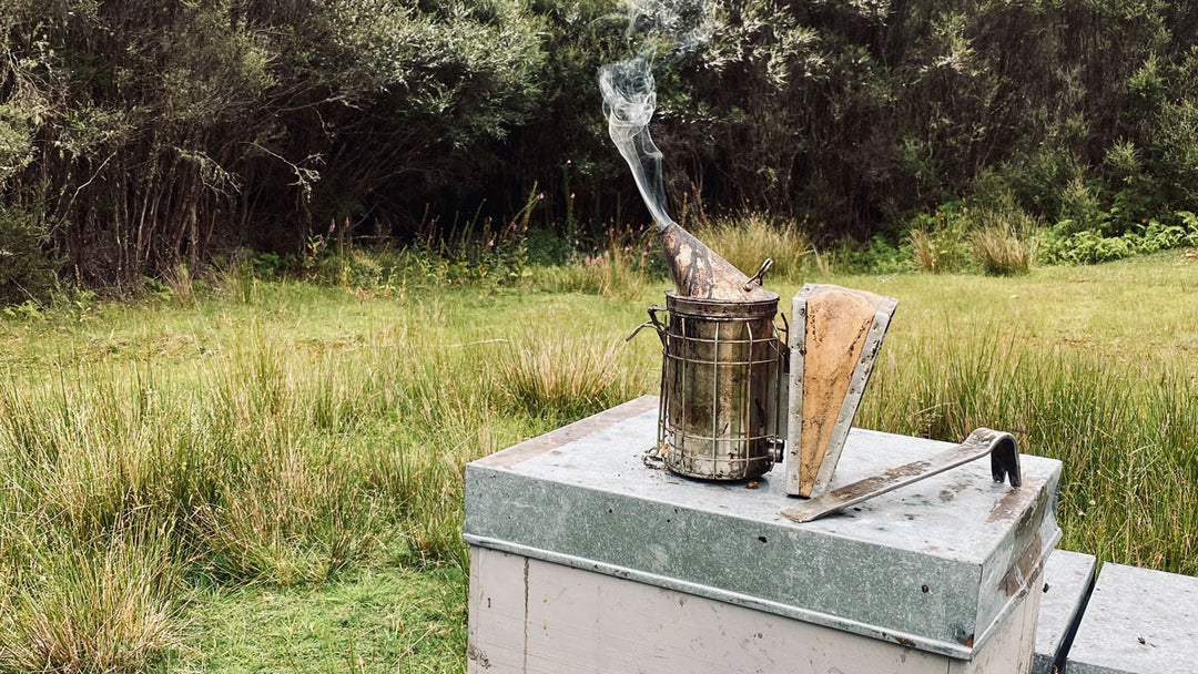 Your Ultimate Guide to Buying Bulk Mānuka Honey Wholesale : Discover the Power of New Zealand's Mānuka Honey