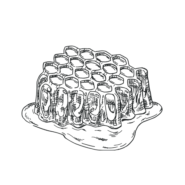 gmo-free-nz-manuka-honey